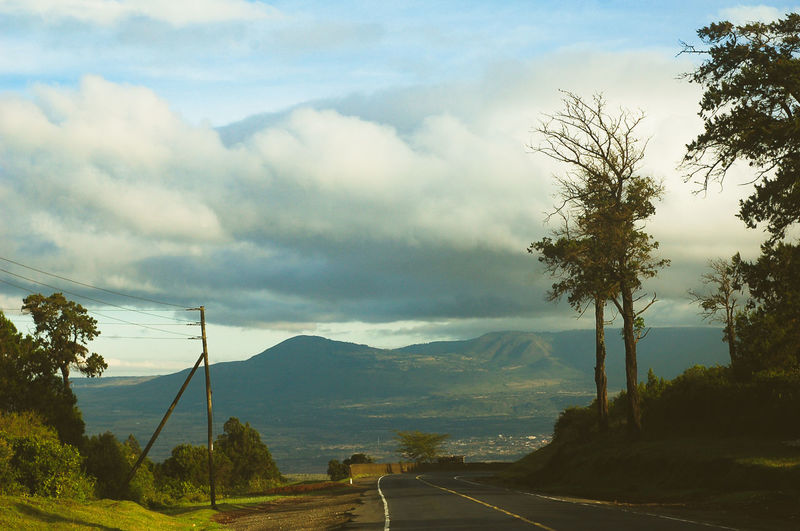 Road by trees against sky