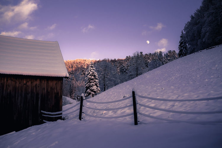 Snowcapped wooden cabin or barn in front of a hill a coniferous tree and a forest in the sunset