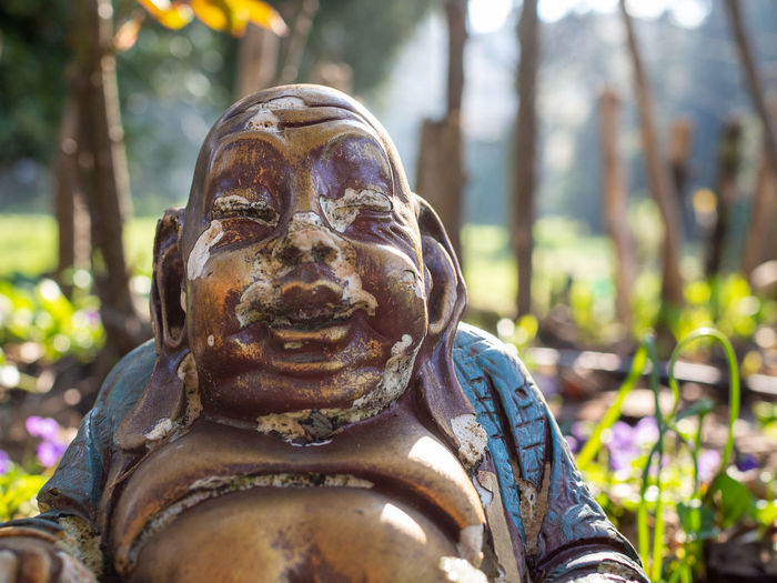 Close-up of statue of buddha