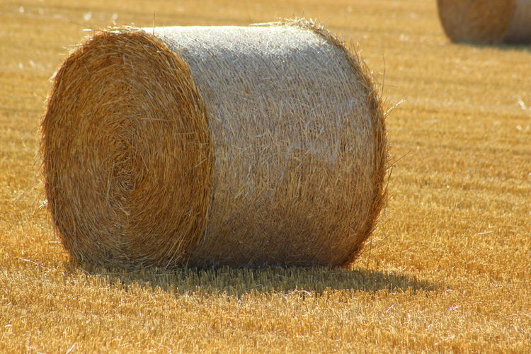 Close-up of hay bales on field