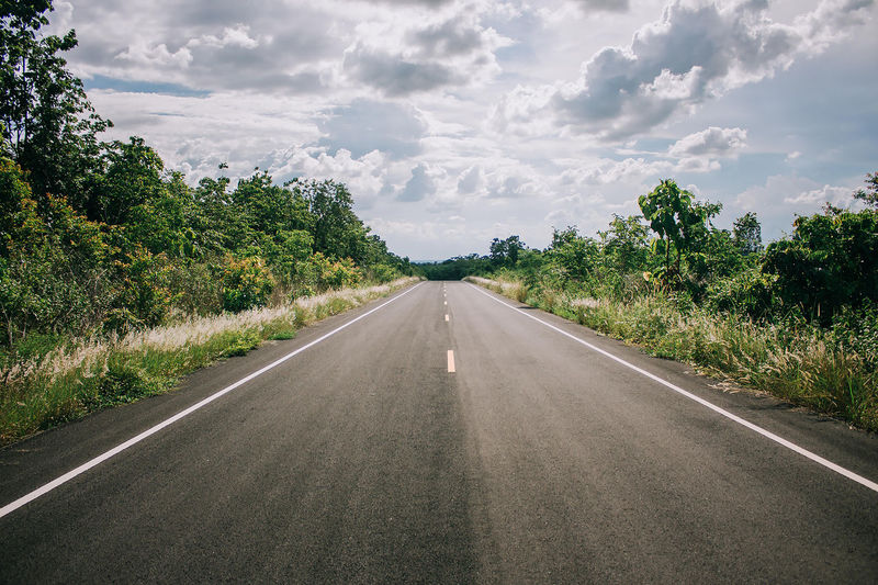 Empty road along plants and trees against sky