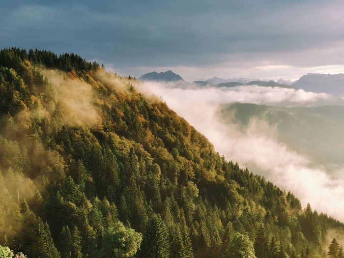 Sunset over a mountain forest in the alps with clouds over it