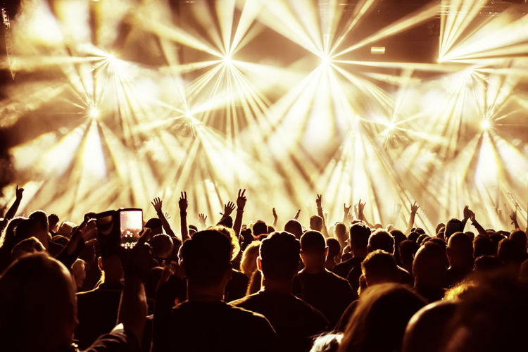 Group of people at music concert