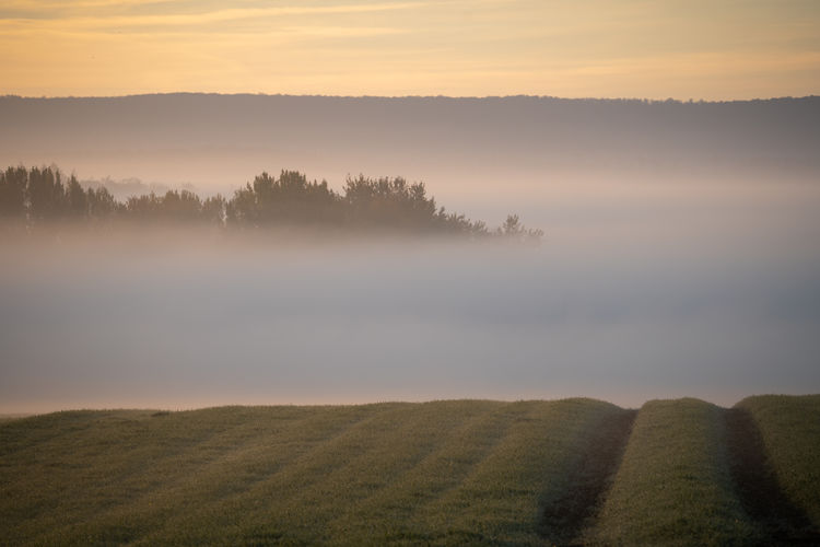 environment