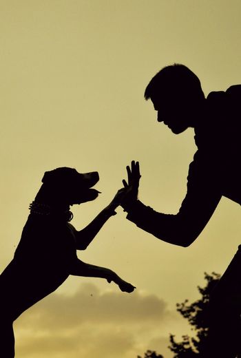 Silhouette person holding hands against clear sky