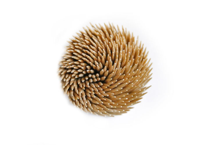 Close-up of spiked against white background