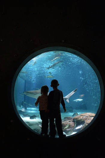Siblings looking at fish while standing in aquarium