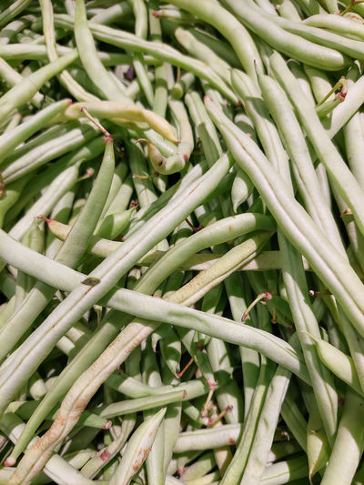 The fresh string beans are one of the best folate sources. 