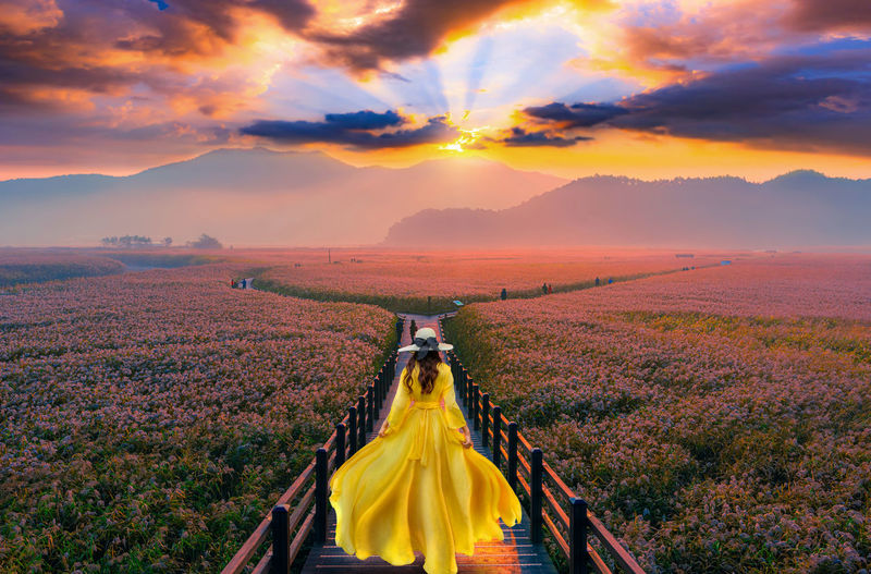 Asian tourists walk on a wooden bridge to see the beauty of the sunrise on the grasslands 