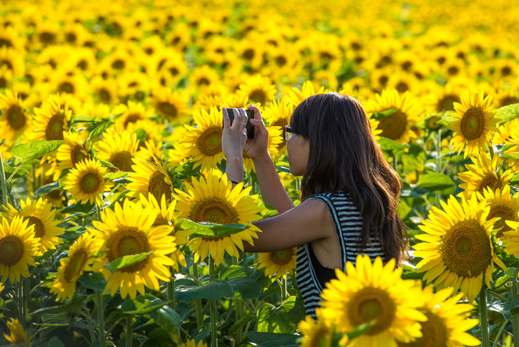 Mid adult woman photographing sunflowers while standing at farm