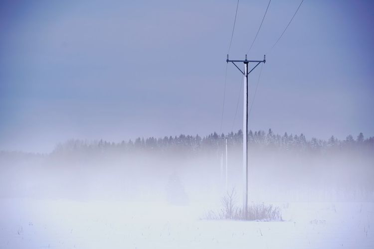 environment