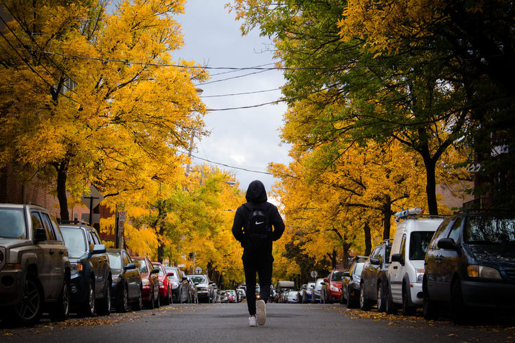 Rear view of man standing on street during autumn