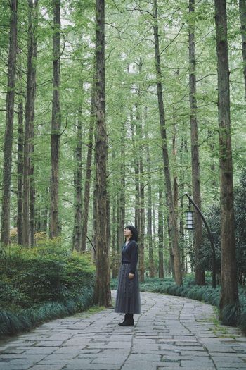 Full length of woman standing amidst trees in forest