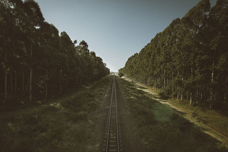View of railroad tracks amidst trees against clear sky