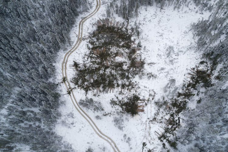 Deforestation of swedish forest, clear-felled area seen from above in the north of sweden at winter.