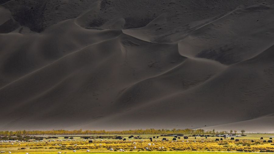 Scenic view of arid landscape