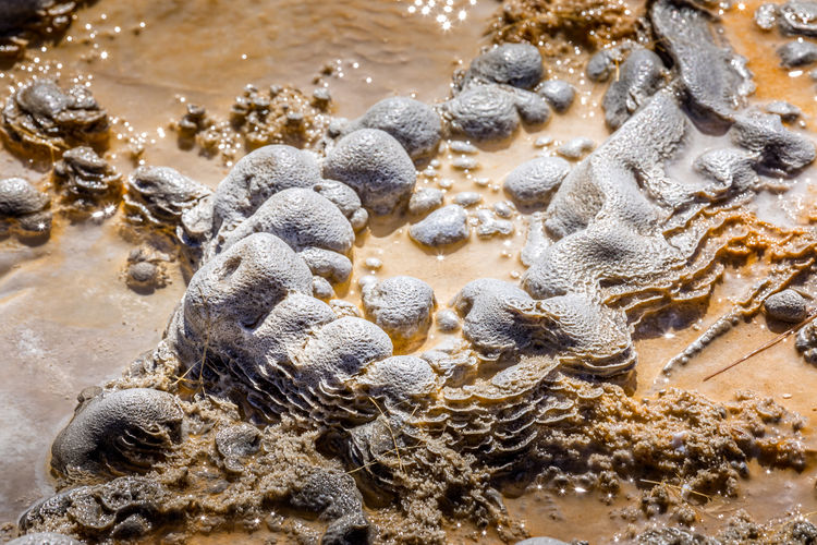 Close up of the limestone pattern of the aurum geyser, yellowstone