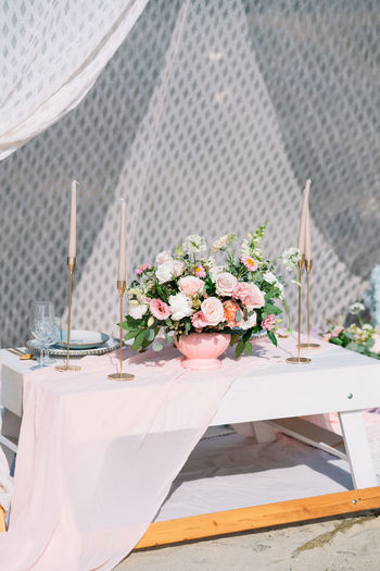 Close-up of potted plant on table