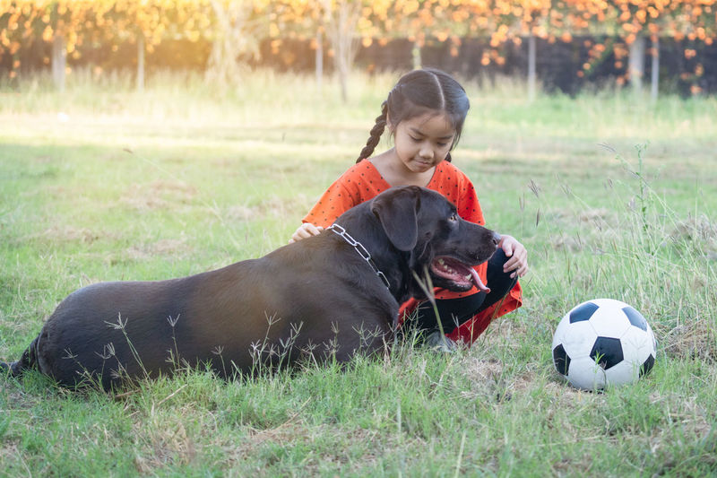A lovely southeast asian child girl in red outfits plays with her big dog in the back or front yard