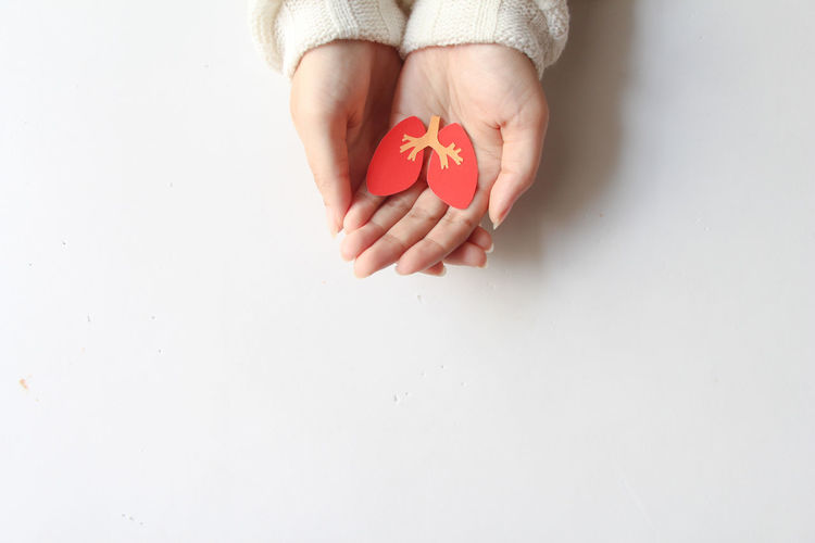 Cropped hand of woman holding red toy over white background