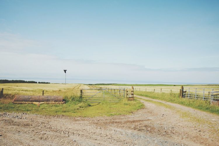 Scenic view of landscape against sky
