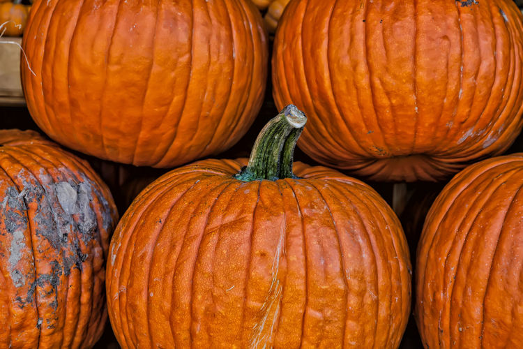 Full frame shot of pumpkins