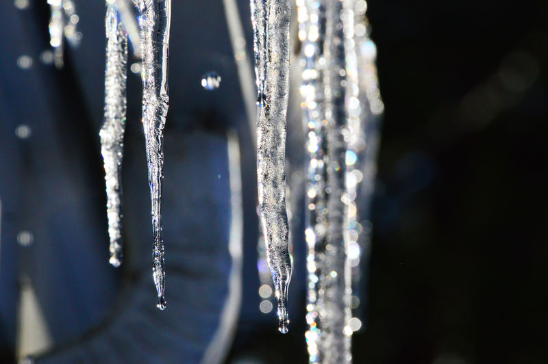 Close-up of icicles hanging on snow