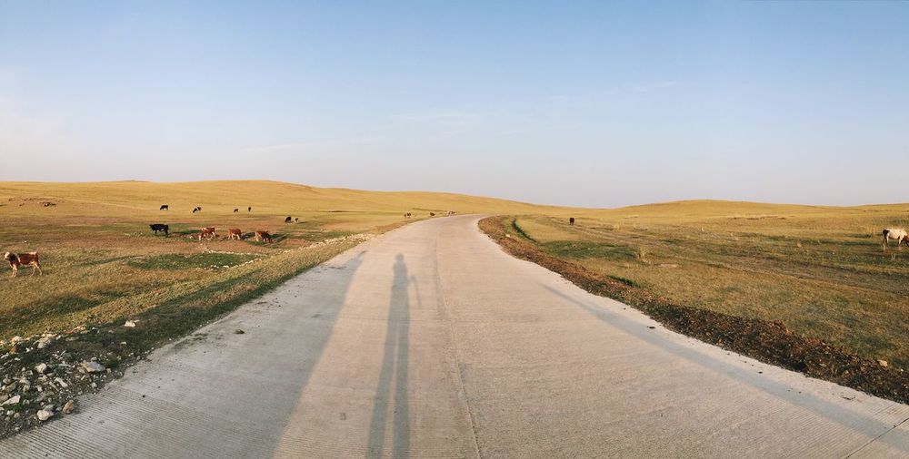Empty road amidst field against sky