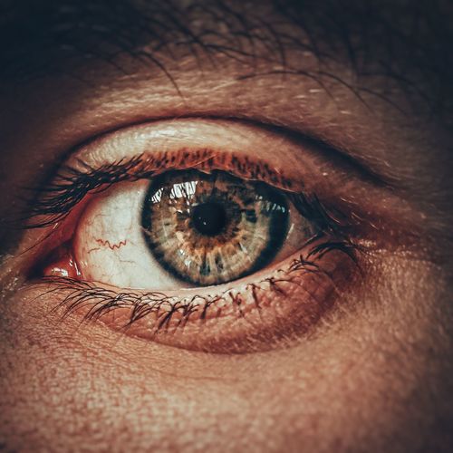 The male eye