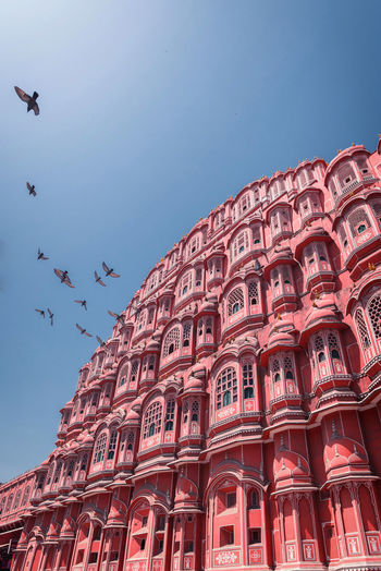 LOW ANGLE VIEW OF BIRDS FLYING OVER BUILDING