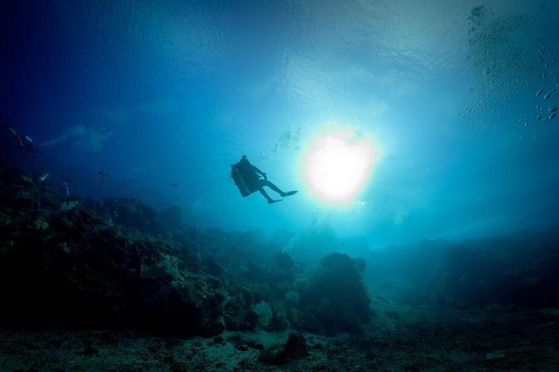 Woman scuba diving in sea