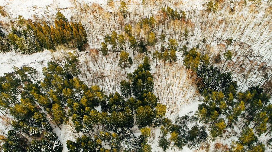 Full frame shot of trees against sky