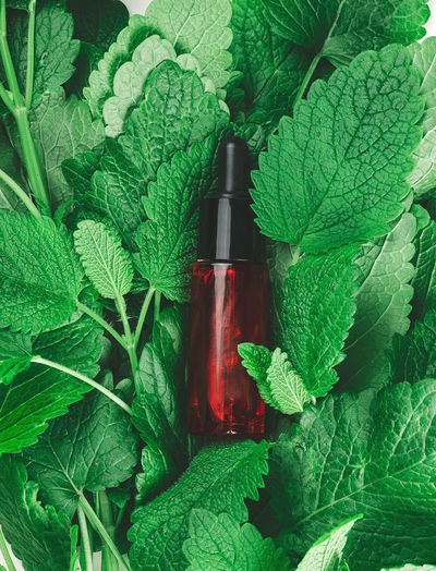 Red glass bottle with a pipette for cosmetics and green mint leaves, top view