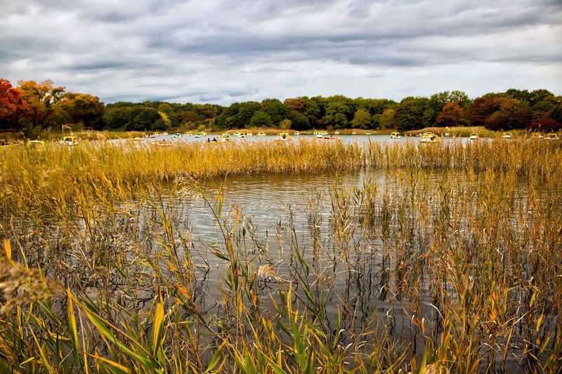 Scenic view of lake by field against sky