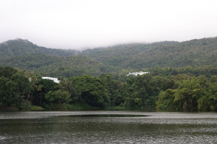 Scenic shot of calm lake in forest against sky