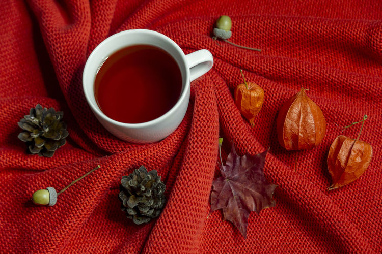 Cup of tea on warm red sweater surrounded by physalis, fir cones, maple leaves and acorns.