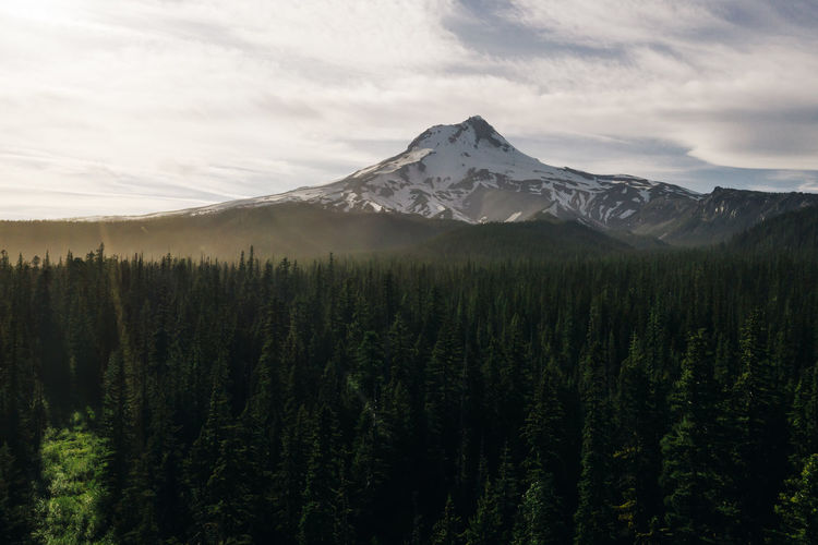 A view of mt. hood at sunset.