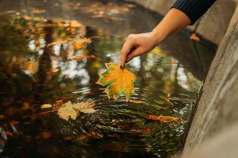 Person holding fish in lake