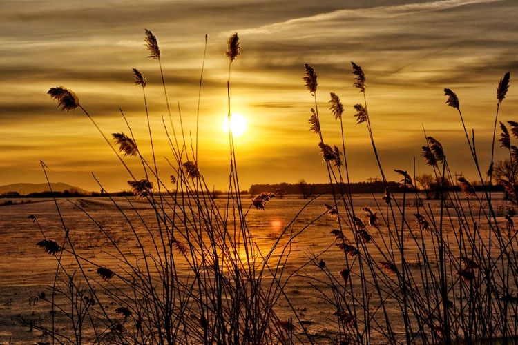 Scenic view of sunset over lake