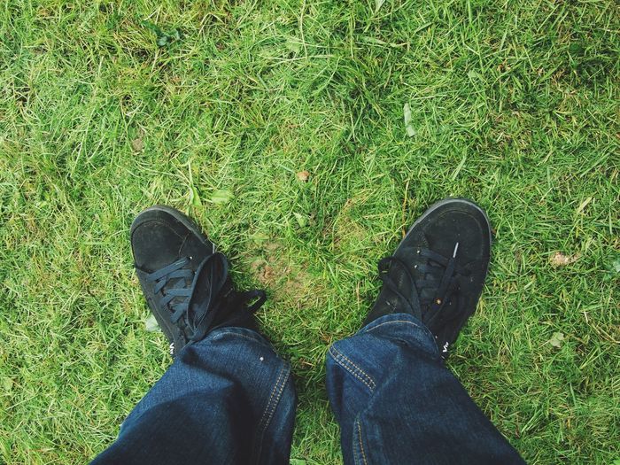 Low section of man standing on grass