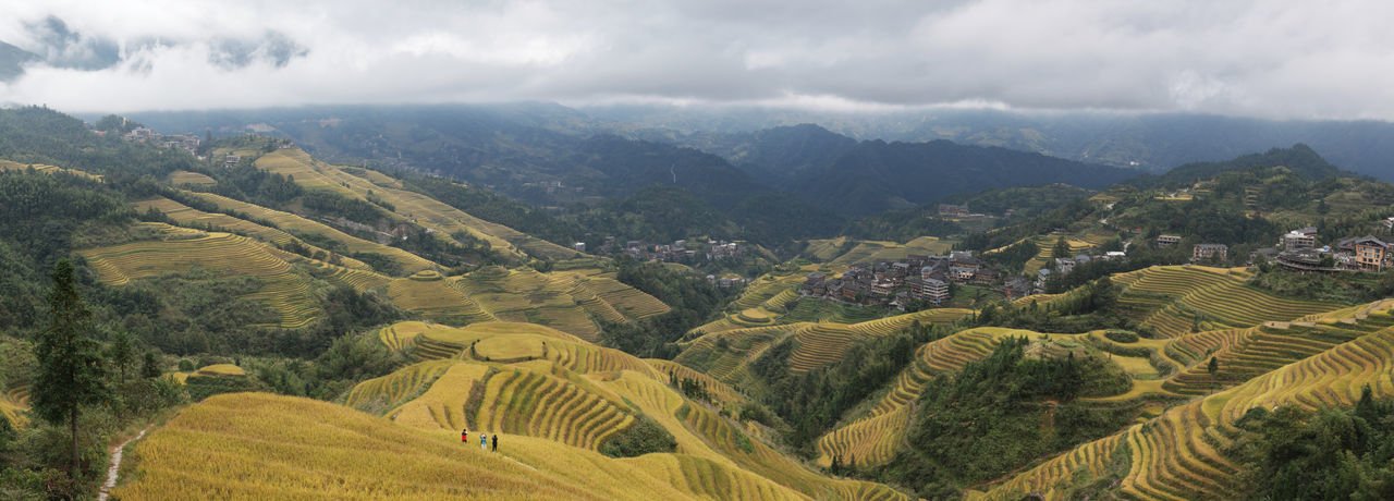 Panoramic view of rice fields in longji, china