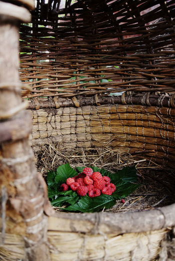 Close-up of wicker basket