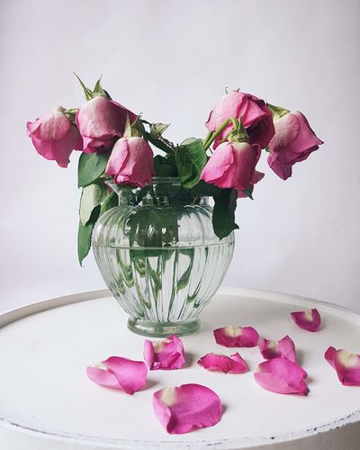 Close-up of pink roses in vase on table