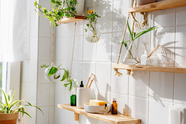 Potted plant at home