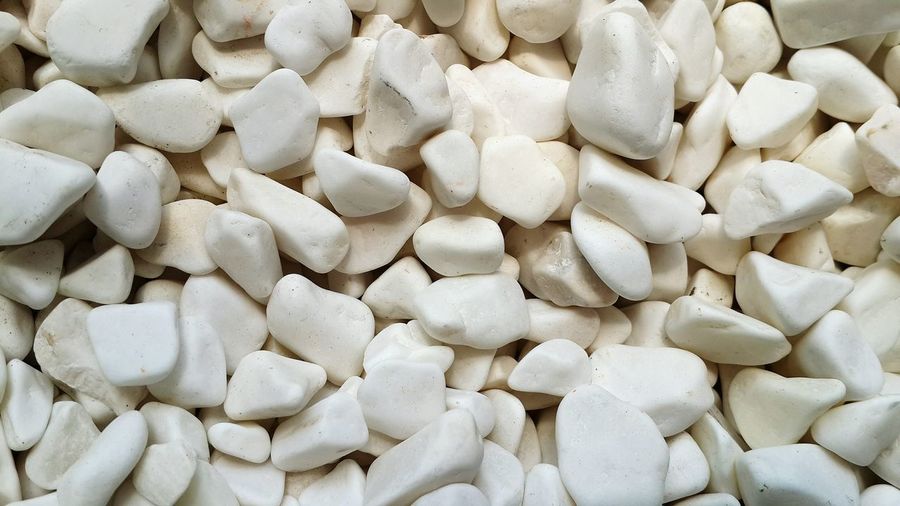 Full frame shot of white beans