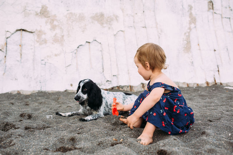 Little cute girl with russian cocker spaniel playing on the beach by the sea