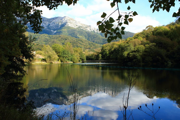Scenic view of lake by trees against sky