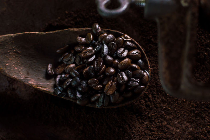 Close-up of roasted coffee beans in spoon