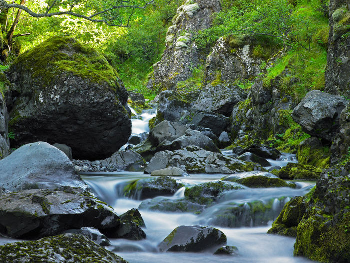 Little river in the skaftafell national park