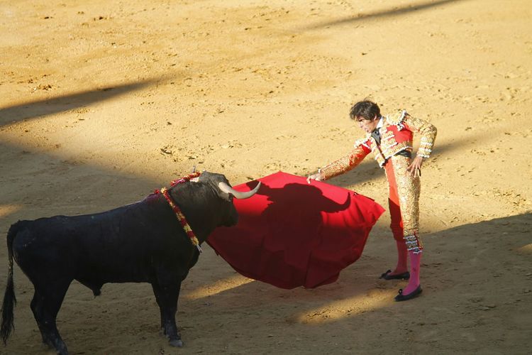 Side view of matador showing red cape with black bull on field